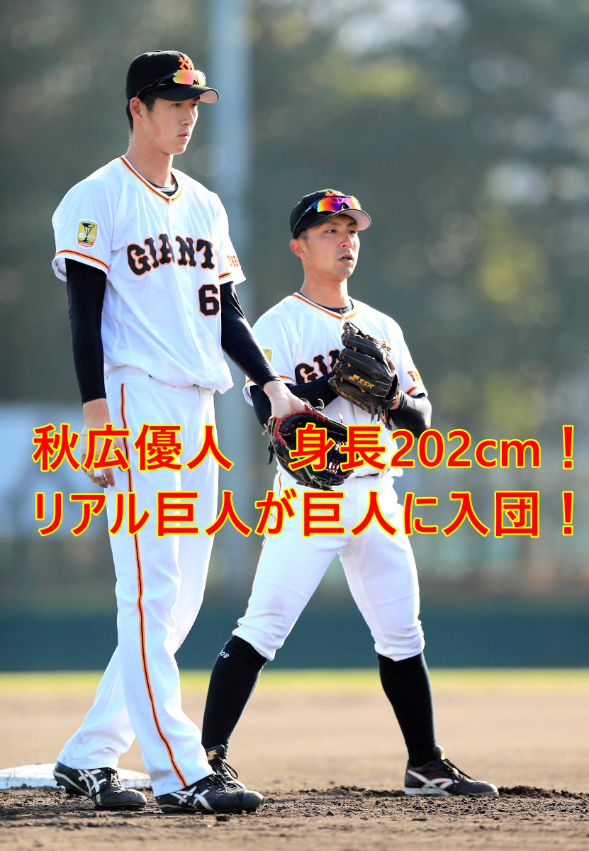 秋広優人　巨人　身長　高校